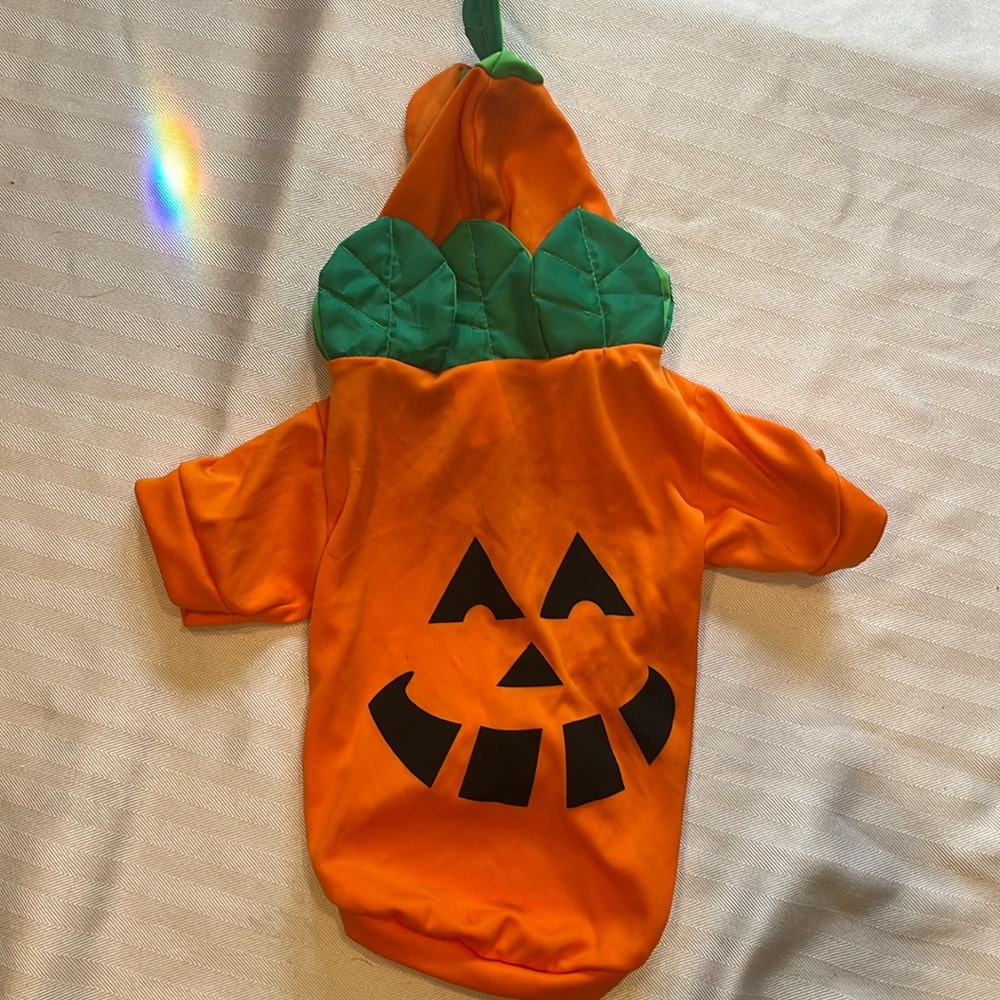 Pumpkin Dog Costume